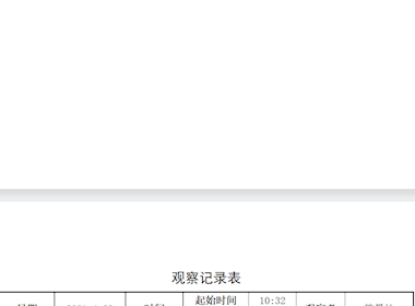 2021.4游戏观察记录（魏晨怡）